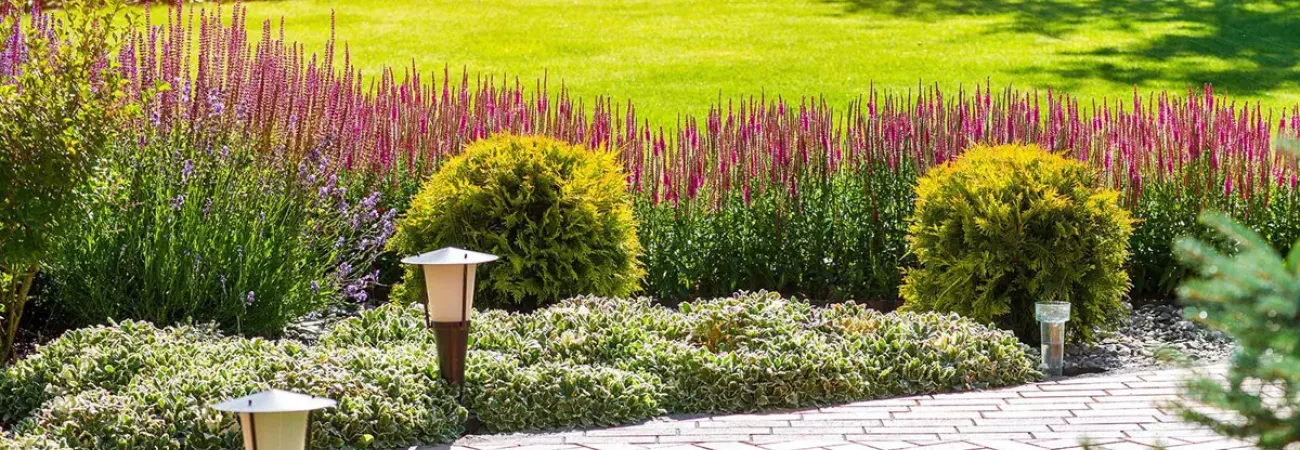 Идеальный миксбордер: как сочетать растения в одной клумбе