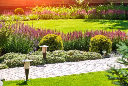 Идеальный миксбордер: как сочетать растения в одной клумбе