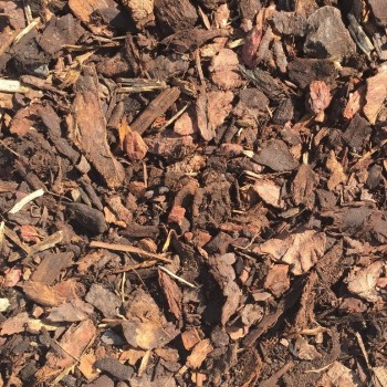 Кора лиственницы