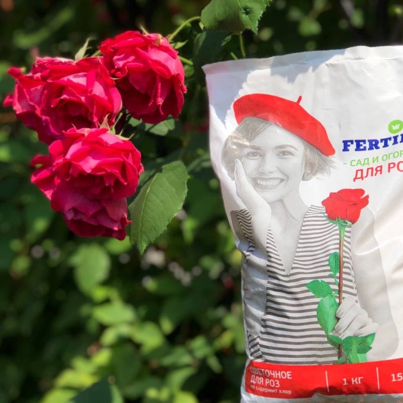 FERTIKA Удобрение для роз