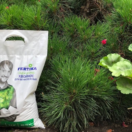 FERTIKA Удобрение для хвойных. Весна.