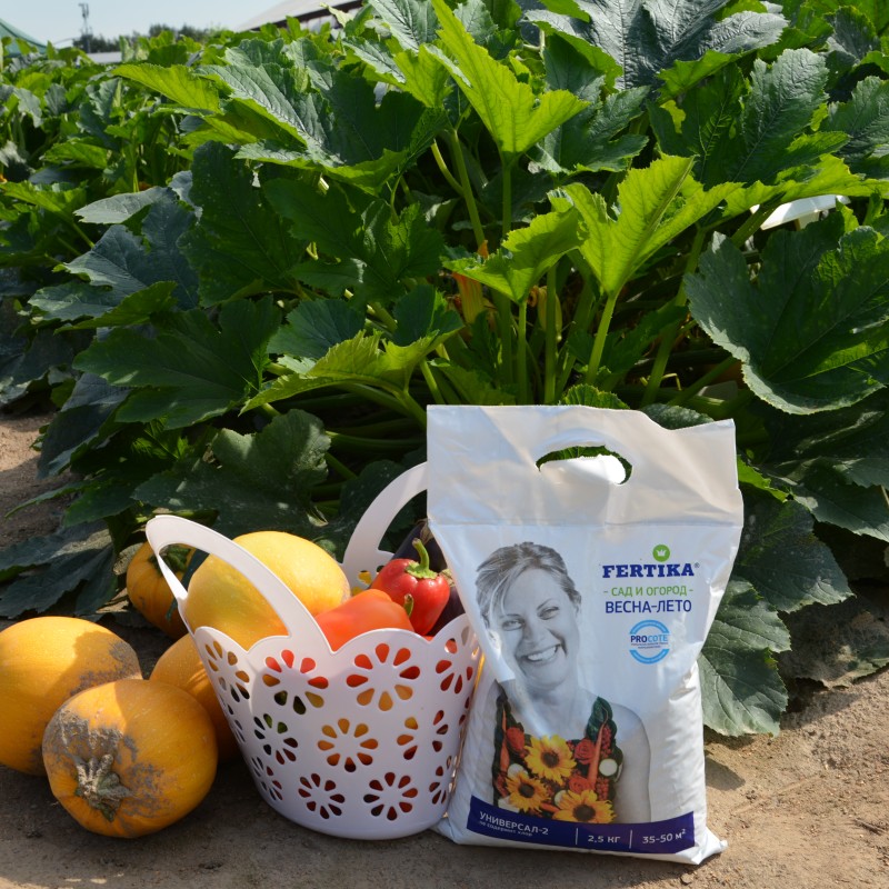FERTIKA Удобрение универсальное. Весна-Лето