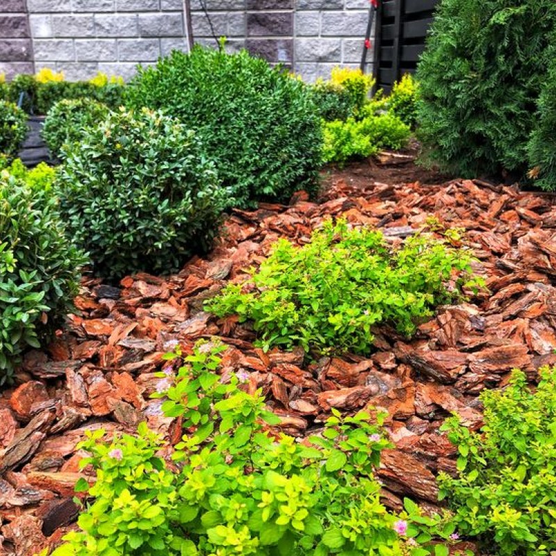 Кора Лиственницы 55л. Фракц. 10+см.