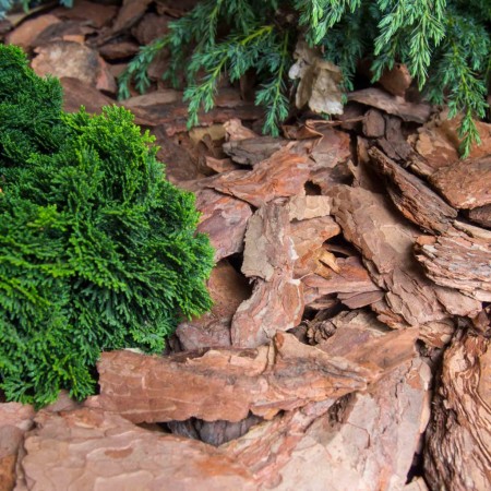 Кора Лиственницы 55л. Фракц. 10+см.