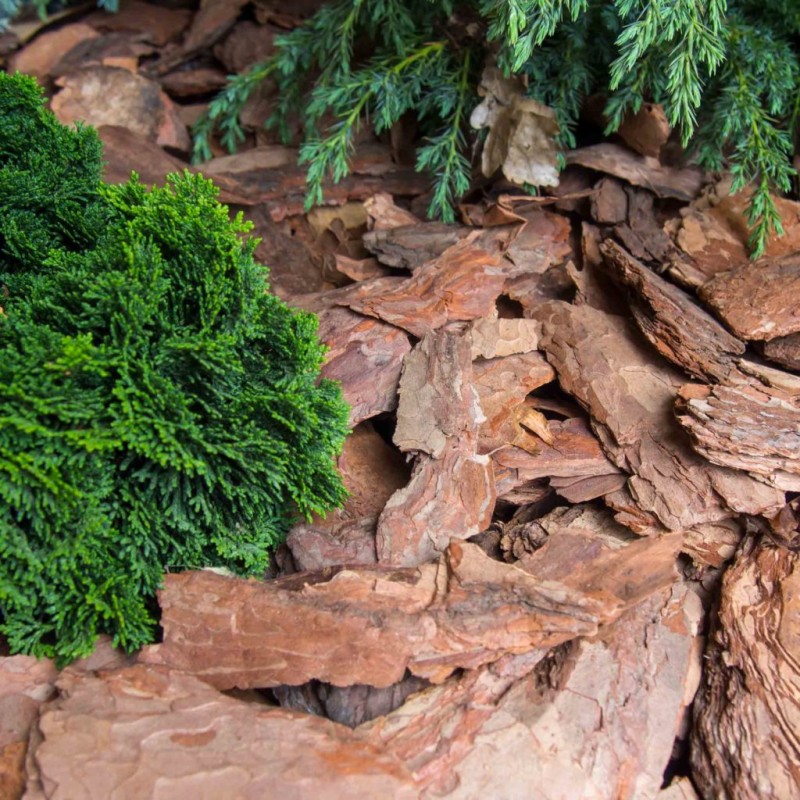 Кора Лиственницы 55л. Фракц. 10+см.