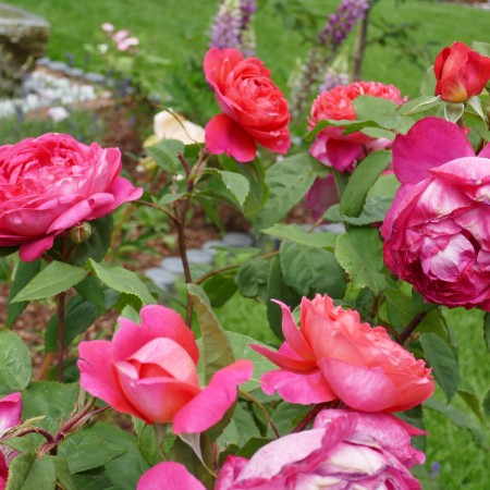 Бенджамин Бриттен