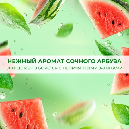 СОЧНЫЙ АРБУЗ 5л