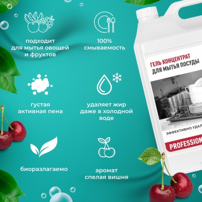 PROFESSIONAL гель-концентрат 5000мл