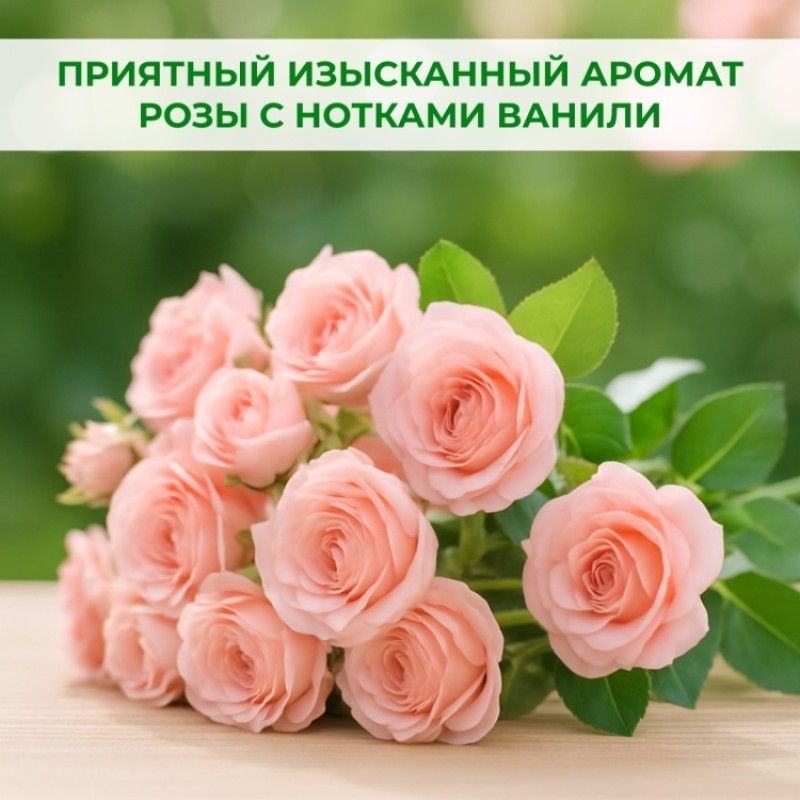 COMFORT ПУДРОВАЯ РОЗА 5л